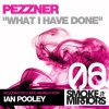 Pezzner《What I Have Done》[MP3/LRC]