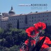 Alessandro Minci、Loreto Gismondi - I papaveri rossi di Montecassino