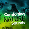 Nature Sounds 2015 - Wearside Bird Life