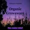Cristian Paduraru - Poorin Spirit (Organic Deephouse Mix)