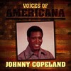johnny copeland - Gonna Make My Home Where I Hang My Hat