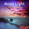 Moon Light《Life in a Day》[MP3/LRC]