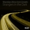 Timothy Allan、Marcie - Strangers in the Dark (Instrumental Remix)