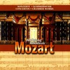 Various Artists - I. Allegro aperto