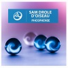 Sam Drole D Oiseau - 1978