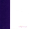 Chris Martin、Ampbuzz - Diving Instructions