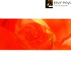 Kevin Hays - Sco More Blues