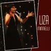 liza minnelli《Shine On It》[MP3/LRC]