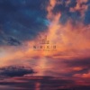 DJ林琪 - 马条 傻瓜