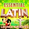 Spacestar、Liliana Gimenez - Bossa de Botinho