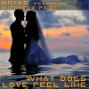 drive、Michaela Paige - What Does It Feel Like? (Damien S. Remix)