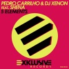 pedro carrilho、DJ Xenon、Shèna - 5 Elements (Extended Mix)