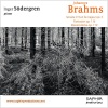 Inger Södergren、Johannes Brahms - Allegro maestoso