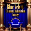 Dave Goldberg、Paul O'Henry、L'Orchestre de Concert《Blue Velvet》[MP3/LRC]