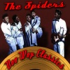 The Spiders - Dear Mary