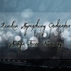 London Symphony Orchestra - Efterarsstormen