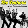 The Ventures《Blue Moon》[MP3/LRC]