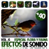 Sounds Effects Wav Files Studio - Gatito