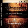 Jerusalem Symphony Orchestra - I. Andante con moto - Allegro un poco agitato