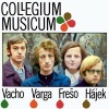 Collegium Musicum、Marián Varga、Fedor Frešo、Rastislav Vacho、Dušan Hájek - If You Want To Fall