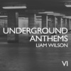 Liam Wilson《Raindrop (Original Ua Edit)》[MP3/LRC]