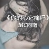 MC向南 - 你的心它痛吗