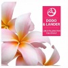 Lander、Dodo - Like A Falling Star
