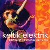 Keltik Elektrik - The Clumsy Lover