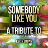 Ameritz Top Tributes - Somebody Like You