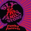 Sly and the Family Stone《Back On The Right Track》[MP3/LRC]