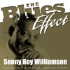 Sonny Boy Williamson《Your Imagination》[MP3/LRC]