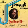 Dennis Brown、leroy sibbles - All for One