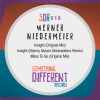 Werner Niedermeier - Insight (Original Mix)