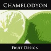 Chamelodyon - Strawberry Rain