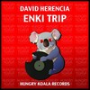 David Herencia - Enki Trip (Original Mix)