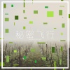 温莎森林 - 秘密飞行