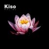 Yvette、Kiso - Malibu