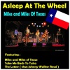 asleep at the wheel - Cherokee Maiden (Live)