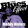 Muddy Waters - Got My Mojo Working