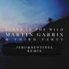 Jebu、Sentinel、Martin Garrix、Third Party - Lions In The Wild (Jebu & Sentinel Remix)