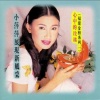 吴泓君 - 我甲别人不同款