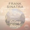 Frank Sinatra - It Never Entered My Mind