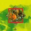 Marraco - Difractia (Original Mix)