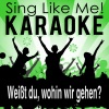 La-Le-Lu《Weißt du, wohin wir gehen? (Karaoke Version)》[MP3/LRC]