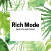 Rich Mode《Rumble in the Jungle》[MP3/LRC]