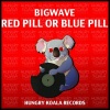 BigWave - Red Pill Or Blue Pill (Original Mix)