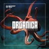Collective Machine - The Last Train (Rudosa Remix)
