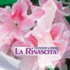 Ecosound - Musica per la Rinascita, pt. 1