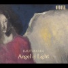 Leif Segerstam、helsinki philharmonic orchestra - Symphony No. 7, 