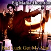 big mama thornton《All Right Baby》[MP3/LRC]